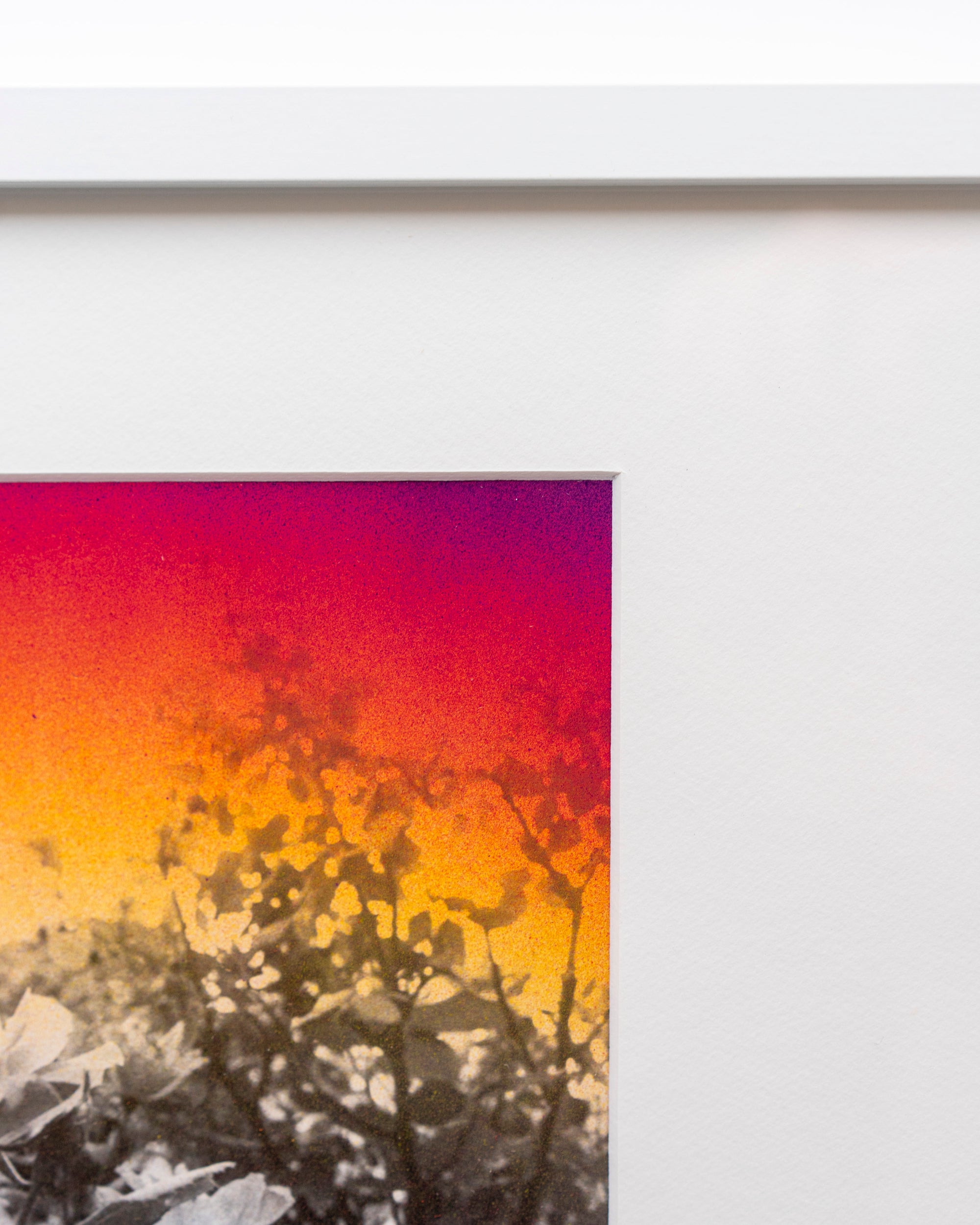 Hi Grain