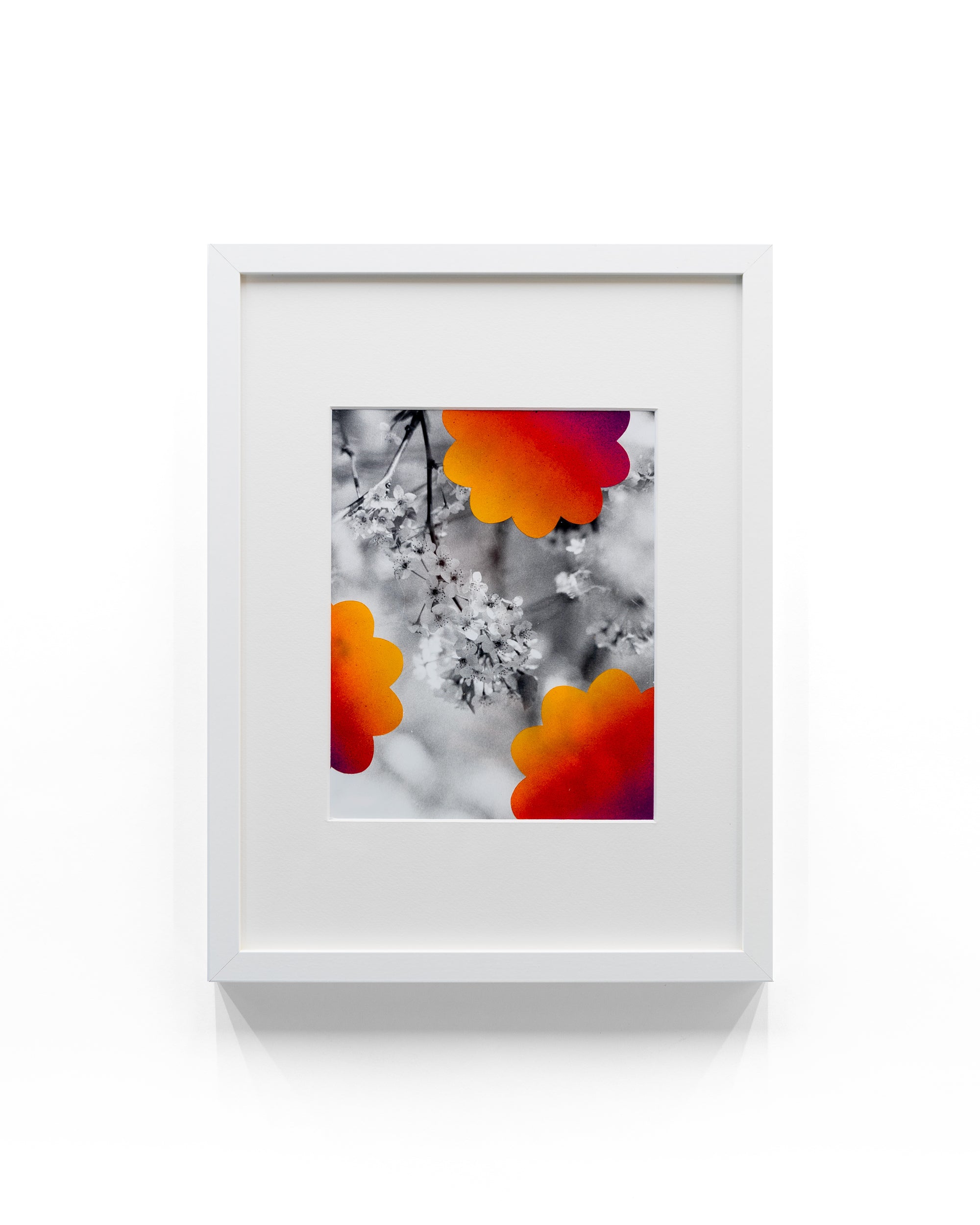 Pollenate