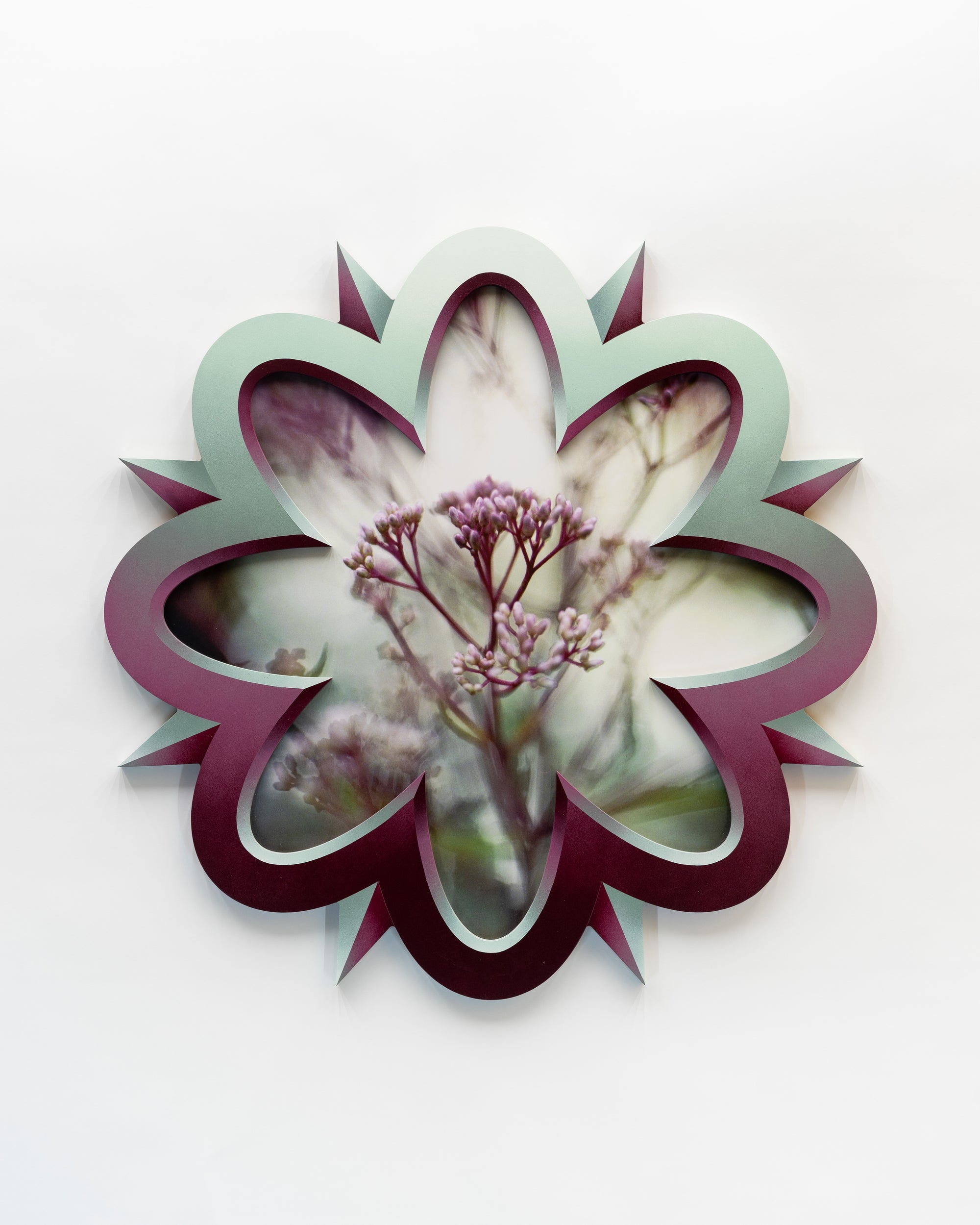 Inflorescence